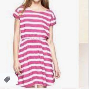 Gap Zoe Fit & Flare Magenta & White Striped Dress